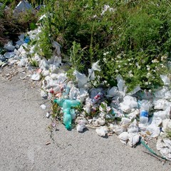 viale pasteur 2014