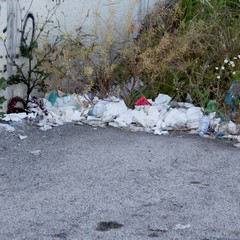 viale pasteur 2014