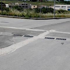 viale pasteur 2014