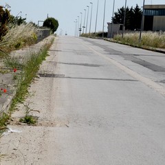 viale pasteur 2014