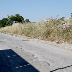 viale pasteur 2014