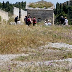 Degrado nel parco archeologico 2014