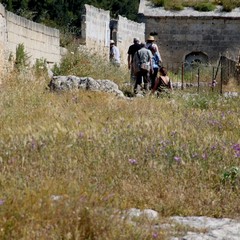 Degrado nel parco archeologico 2014