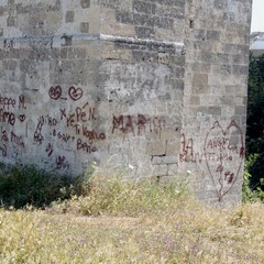 Degrado nel parco archeologico 2014
