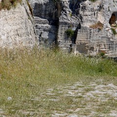 Degrado nel parco archeologico 2014