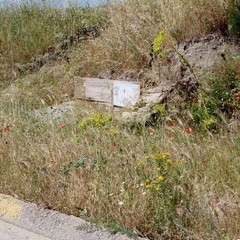 Degrado nel parco archeologico 2014