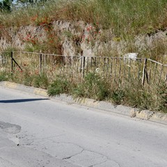 Degrado nel parco archeologico 2014