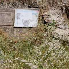 Degrado nel parco archeologico 2014
