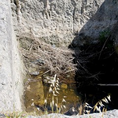 Degrado nel parco archeologico 2014