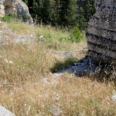 Degrado nel parco archeologico 2014