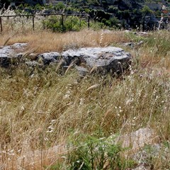 Degrado nel parco archeologico 2014
