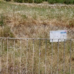 Degrado nel parco archeologico 2014