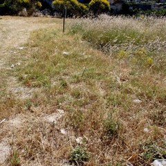 Degrado nel parco archeologico 2014