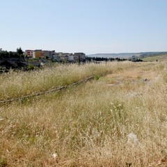 Degrado nel parco archeologico 2014