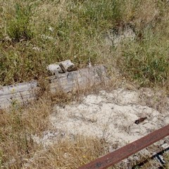 Degrado nel parco archeologico 2014