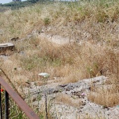 Degrado nel parco archeologico 2014