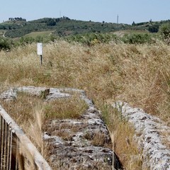 Degrado nel parco archeologico 2014