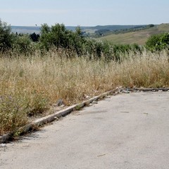 Degrado nel parco archeologico 2014