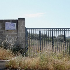 Degrado nel parco archeologico 2014