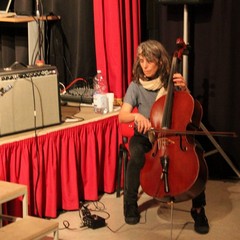 Lori Goldston al Free Flow Festival