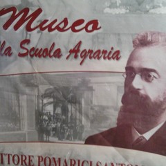 natale gravinese01