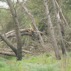 parco di grottesolagne