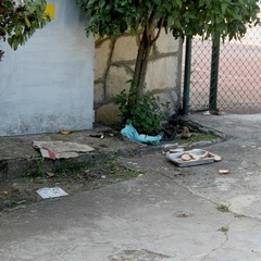 marcuccio ottobre 2014
