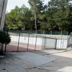 marcuccio ottobre 2014