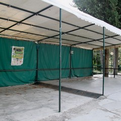 marcuccio ottobre 2014