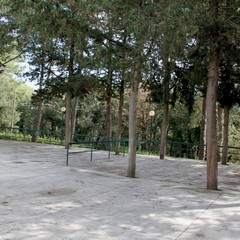 marcuccio ottobre 2014