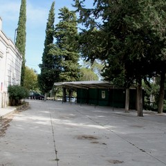 marcuccio ottobre 2014