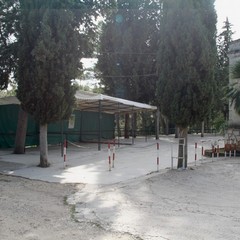 marcuccio ottobre 2014