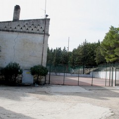 marcuccio ottobre 2014
