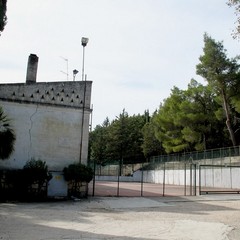 marcuccio ottobre 2014
