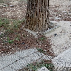 Quartiere villa Margherita