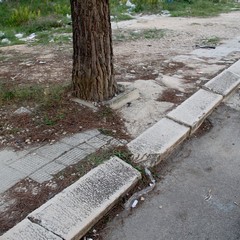 Quartiere villa Margherita