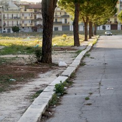 Quartiere villa Margherita