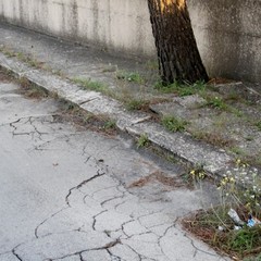 Quartiere villa Margherita