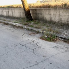Quartiere villa Margherita