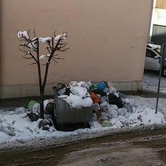 I grillini interrogano Valente sulla Tra.De.Co.