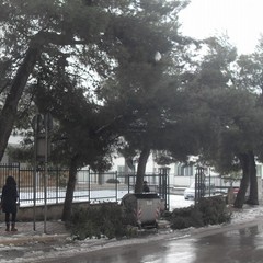 Post nevicata