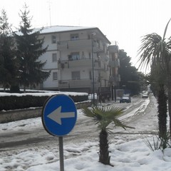 Post nevicata