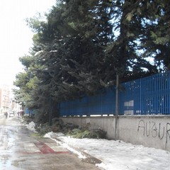 Post nevicata