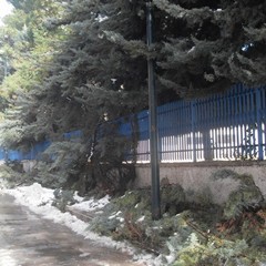 Post nevicata
