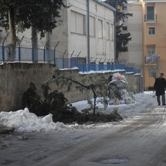 Post nevicata