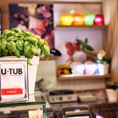 U-Tub in Fiera