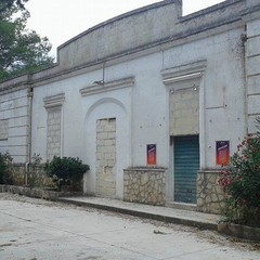 bosco 17