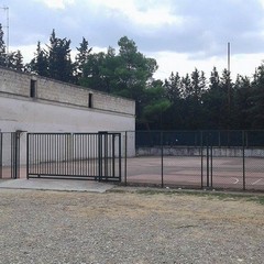 bosco 19
