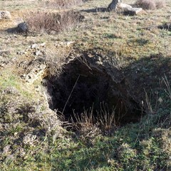 Botromagno