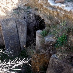 Botromagno